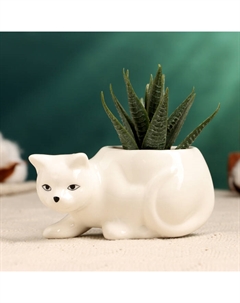 Горшок для цветов «Кошка Милка», керамический, 100 мл, 11×5×5 см, белый Greengo