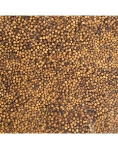 Семена Горчица,, 3 кг Мой выбор