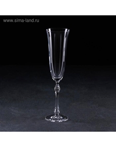 Набор стеклянных бокалов для шампанского Parus, 190 мл, 6 шт Crystal bohemia