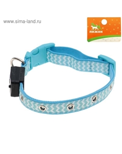 Ошейник со светодиодной подсветкой, 40-45×2 см, голубой Пижон