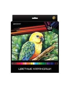 Набор цветных карандашей Schoolformat Дикая планета / КЦ24-ДП Schoolформат