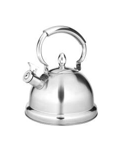 Чайник со свистком Astiat AST1077