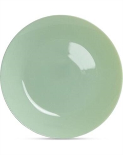 Тарелка столовая обеденная Luminarc Zelie Paradise Green V5851