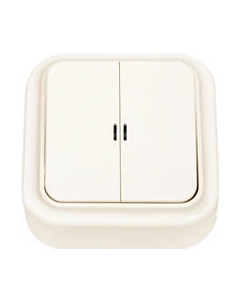 Выключатель Bylectrica Пралеска А5 10-215