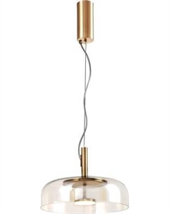 Потолочный светильник FAVOURITE 4258-1P Favourite