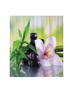 Шторка-занавеска для ванны JoyArty Цветок орхидеи / sc_2605 Joyarty