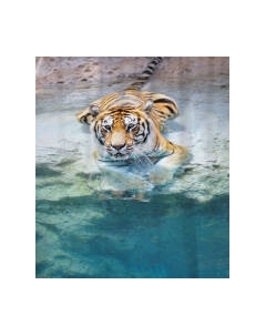 Шторка-занавеска для ванны JoyArty Прохлада для тигра / sc_12726 Joyarty