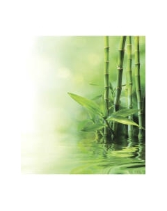 Шторка-занавеска для ванны JoyArty Бамбук у воды / sc_12188 Joyarty