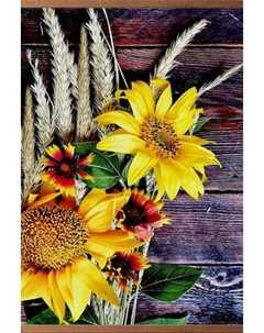 Инфракрасный обогреватель Домашний очаг Подсолнухи / 4627155469870