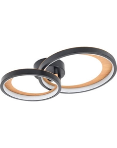 Потолочный светильник ESCADA 10265/2 LED Escada