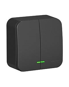 Выключатель Systeme (Schneider) Electric Blanca BLNVA105116 Systeme (schneider) electric