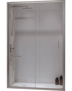 Душевая дверь RGW PA-21 / 06082110-11 Rgw