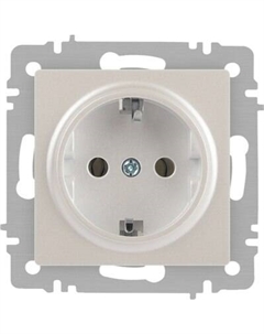 Розетка INTRO Accent 6-202-06 / Б0063695 Intro