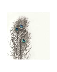 Шторка-занавеска для ванны JoyArty Три пера павлина / sc_3785 Joyarty