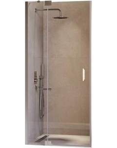 Душевая дверь RGW HO-014 / 350601409-11 Rgw