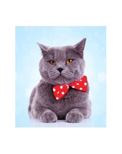 Шторка-занавеска для ванны JoyArty Серый Тема Шотландская Вислоухая / sc_2735 Joyarty