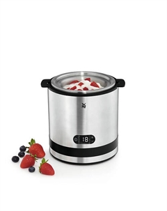 WMF Мороженица 0416450011 Wmf