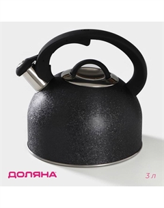 Чайник со свистком из нержавеющей стали Snow, 3 л, индукция, цвет чёрный Доляна
