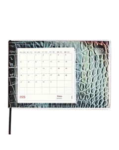 Еженедельник датированный 2025 года, ESCALADA "Змея", 180 х 127 мм, мягкая обложка, ПВХ, 64 листа, блок 70, металлик Feniks