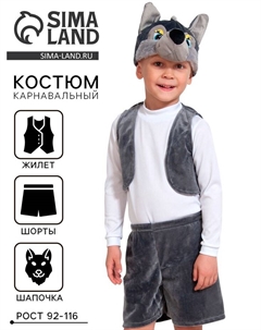 Карнавальный костюм «Волчонок», плюш-лайт, 3-5 лет, рост 92-116 см Карнавалофф