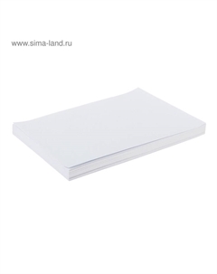 Этикетки А4 самоклеящиеся 100 листов, 80 г/м, 210×148.5 мм, белые, 2 штуки, МИКС матовые/глянец Calligrata