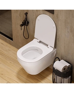 Унитаз подвесной Sanita Luxe Novel Rimless Slim, дюропласт с микролифтом тонкое, clip-up Sanita luxe