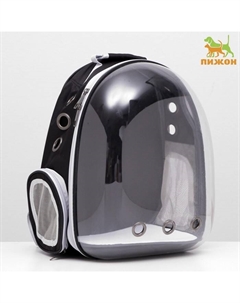 Рюкзак для переноски животных прозрачный, 31×28×42 см, чёрный Пижон