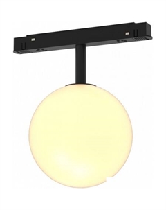 Трековый светильник Exility Luna TR038-2-5W4K Maytoni