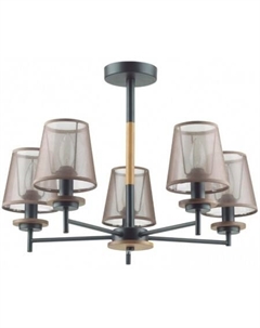 Люстра средней высоты Betsy 4498/5C Lumion