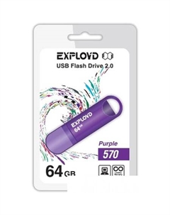 USB Flash 570 64GB (фиолетовый) [EX-64GB-570-Purple] Exployd