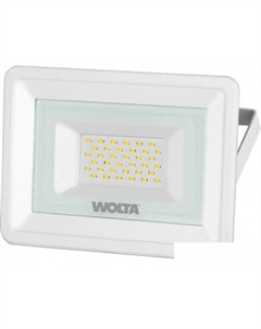 Уличный прожектор WFL-30W/06W Wolta