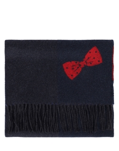 Шарф кашемировый Cesare gatti