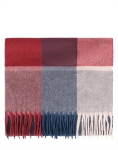 Шарф кашемировый Cesare gatti