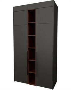 Шкаф Рэйгрупп Рэй S257-В4-WKL В4