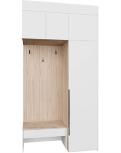 Секция в прихожую Рэйгрупп Рэй P262-B1-EB В1