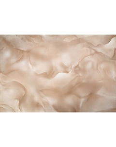 Виниловые обои Палитра Home Color Winner HC72452-63