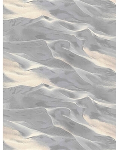 Виниловые обои Аспект 70654-42