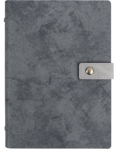 Ежедневник Darvish DV-11600C