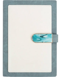 Ежедневник Darvish DV-15364C