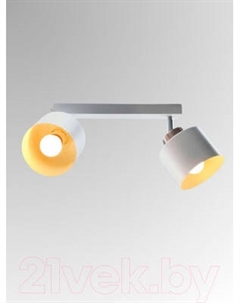 Спот Aitin-Pro НПБ 02-2x60-102 / 8825/2 Aitin-pro