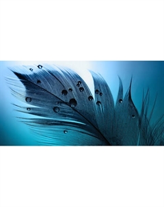 Фотообои листовые Citydecor Абстракция 230