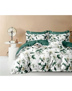 Комплект постельного белья Реноме 2сп Оливковая коллекция. Простыня на резинке УУ 3306