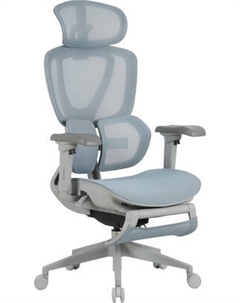 Кресло офисное Evolution LX 1