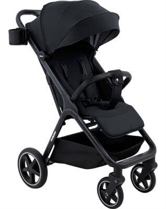 Детская прогулочная коляска Pituso Camino + чехол на ножки / Q-5