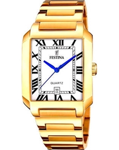 Часы наручные мужские Festina F20678/1