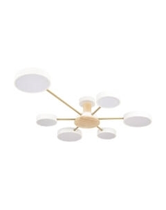 Потолочный светильник Loftit Sunrise 10316/6