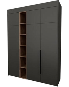 Шкаф Рэйгрупп S274-В7-2-WKW В7-2