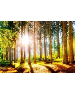 Фотообои листовые Citydecor Природа 149