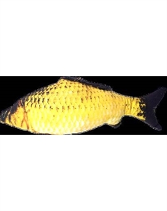 Игрушка для животных КотикиСобачки Рыба карась / T036613-40 Котикисобачки