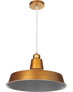 Потолочный светильник BayerLux Ronald / 10537772 Bayerlux